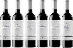 Descubre los Mejores Eventos y Catas de Vino Ribera del Duero