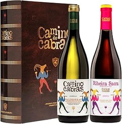 Uso del Vino en Eventos Corporativos: Claves para el Éxito