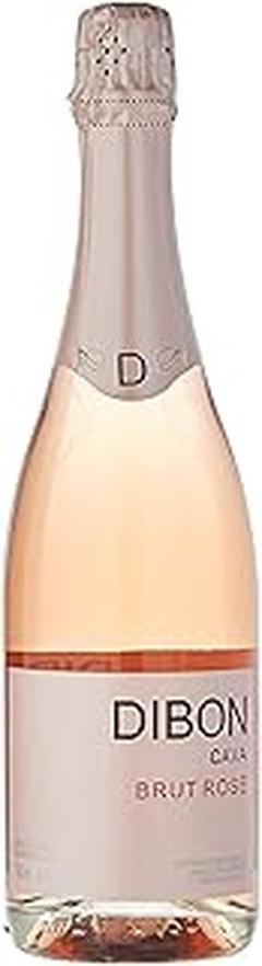 Champán, Cava y Prosecco: ¿Cuál es el mejor espumoso para tu celebración?