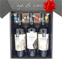 Packs de iniciación al vino o cursos de degustación: ¿Qué elegir?