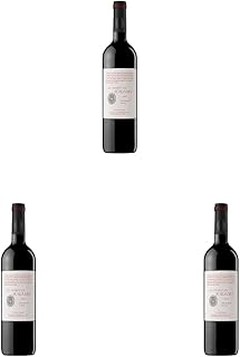 Problemas comunes al almacenar vino Priorat y sus soluciones