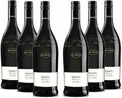 Vinos afrutados recomendados por sommeliers: Guía de expertos