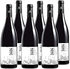 Descubre qué es el vino Somontano: características y origen