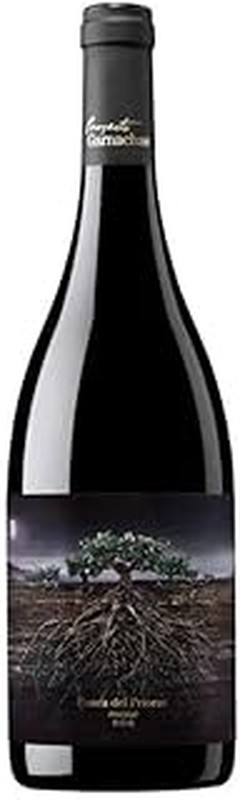 Descubre los Mejores Vinos Priorat para Regalar