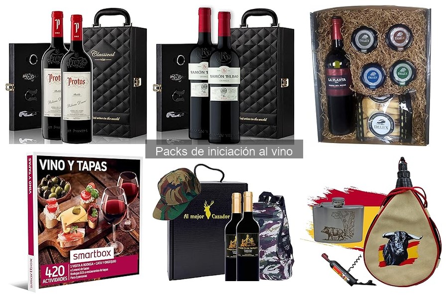 Accesorios Clave en Packs de Iniciación al Vino