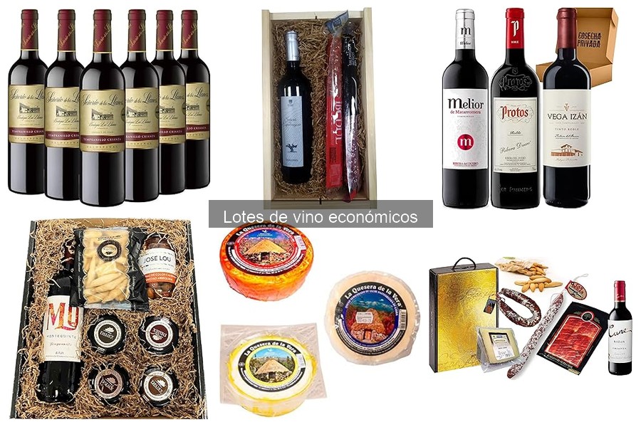 Alternativas a los lotes de vino económicos para ocasiones especiales