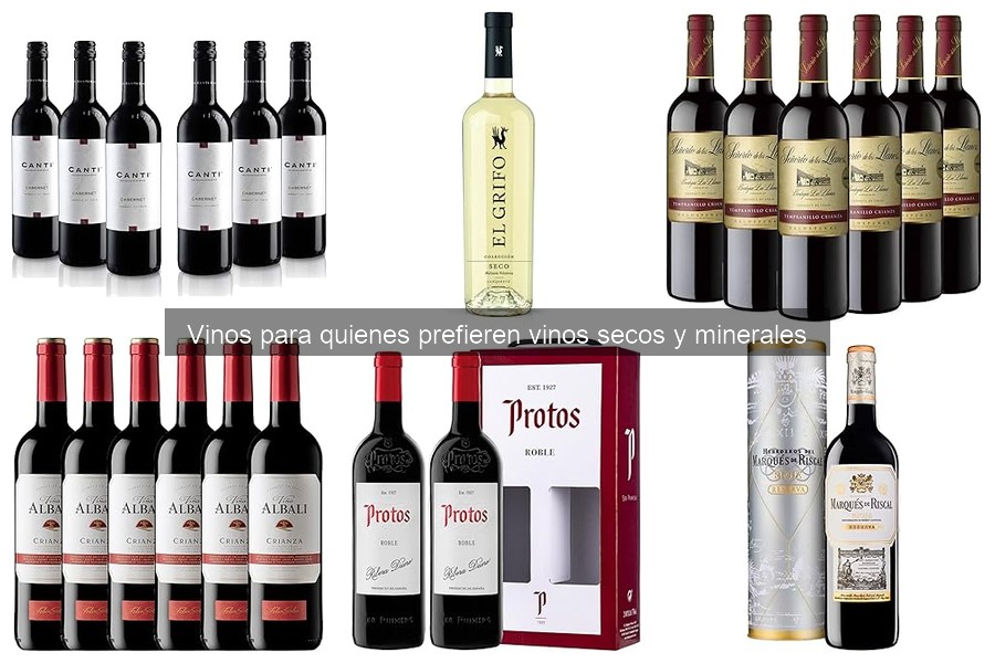 Alternativas a Vinos Secos: Opciones para Nuevos Sabores