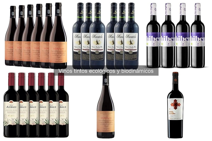 Alternativas a Vinos Tintos Ecológicos: Opciones Viables