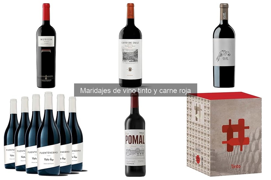 Alternativas a vinos tintos para maridar carne roja