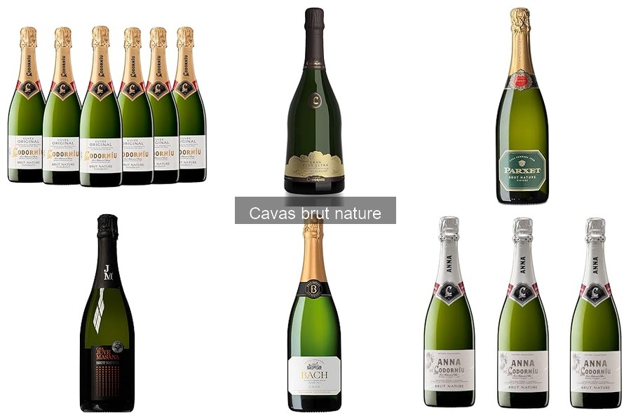 Alternativas al Cava Brut Nature: Mejores Opciones Espumosas