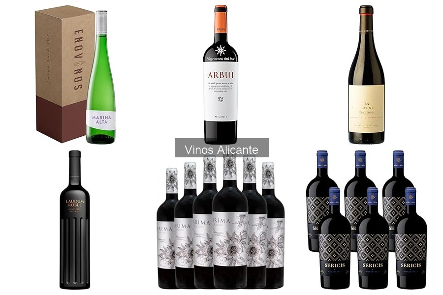Alternativas de Vinos Orgánicos de Alicante para Ti