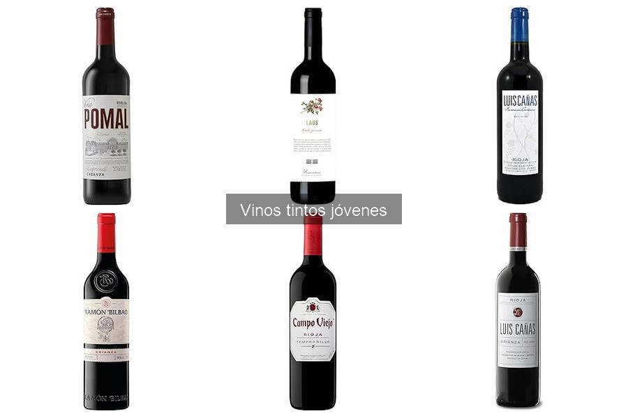 Beneficios de Disfrutar Vinos Tintos Jóvenes en Casa