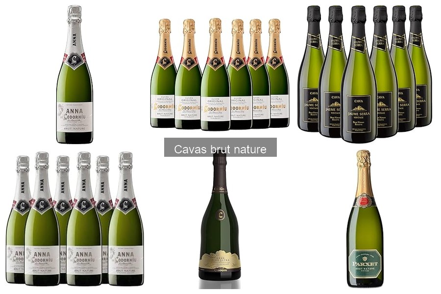 Beneficios de elegir cava brut nature para cualquier ocasión