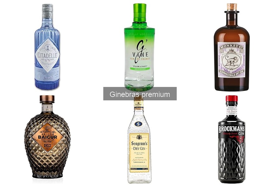 Beneficios de Elegir Ginebra Premium para tu Experiencia