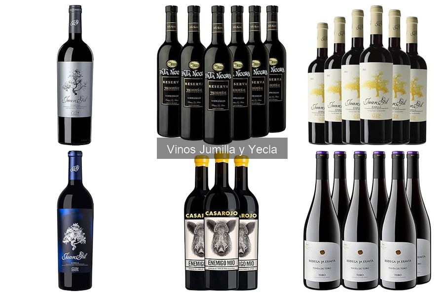 Beneficios del Vino de Jumilla para la Salud y Más