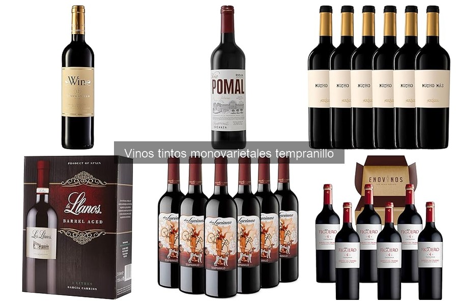 Beneficios del Vino Tinto Tempranillo para la Salud