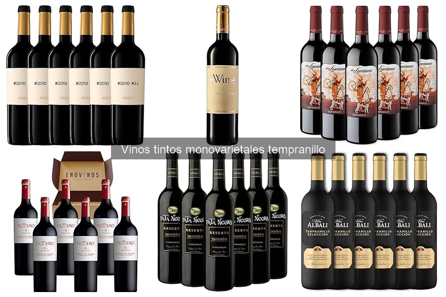 Características del Vino Tinto Tempranillo vs Otros Tintos