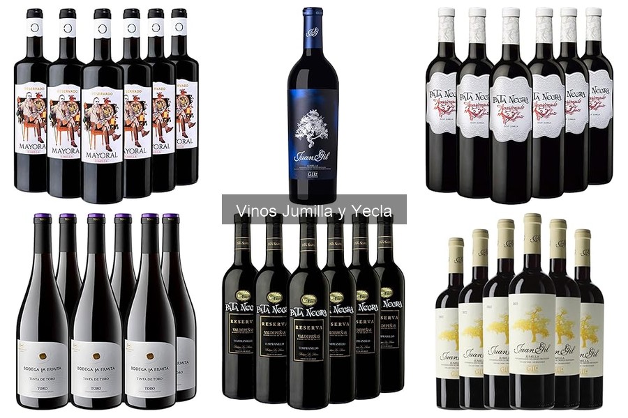 Cómo almacenar correctamente el vino de Yecla