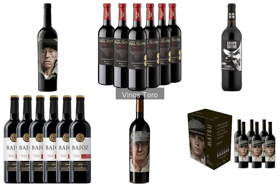 ** Cómo almacenar vinos Toro correctamente en casa