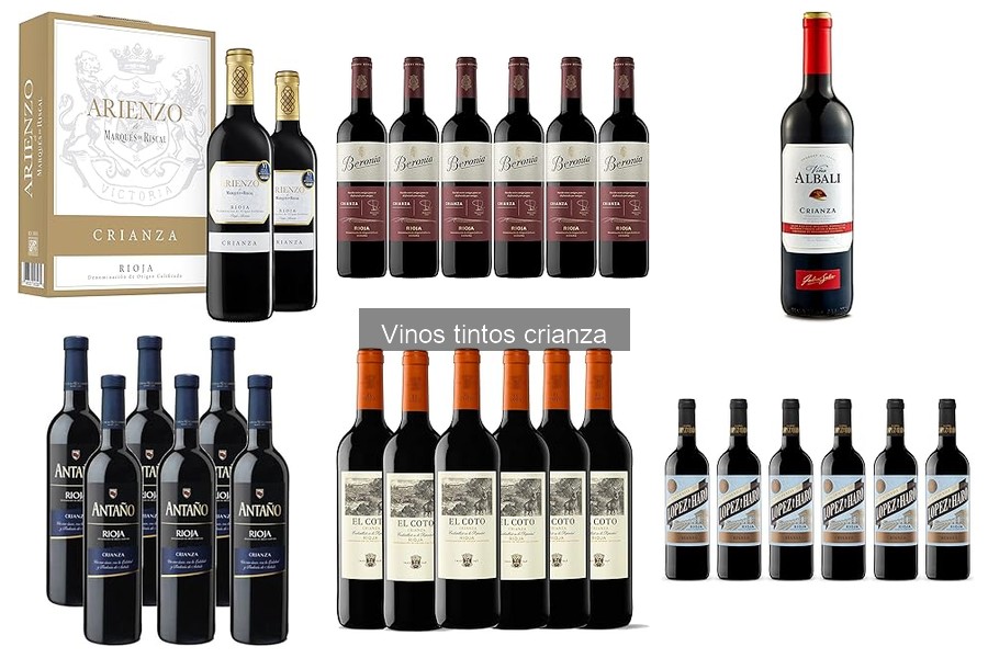 Cómo decantar vino tinto crianza: Guía paso a paso
