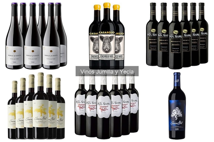 Cómo elegir el mejor vino de Jumilla: guía de compra