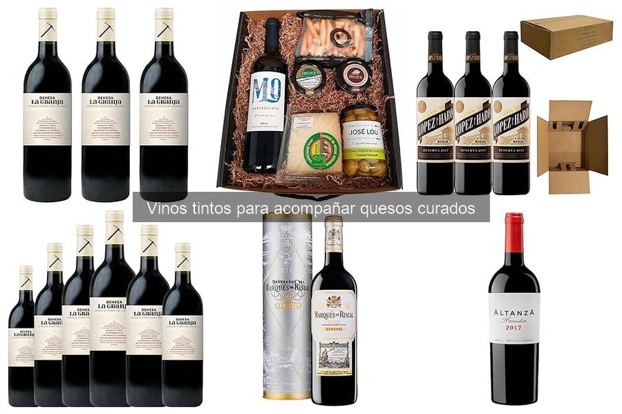 Cómo elegir el vino tinto perfecto para quesos curados