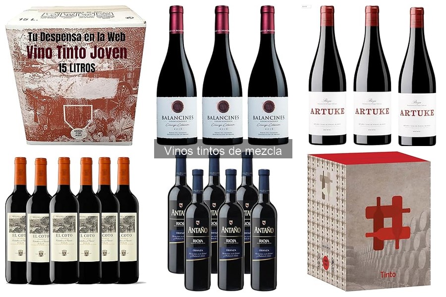 Cómo elegir un vino tinto de mezcla según el sabor