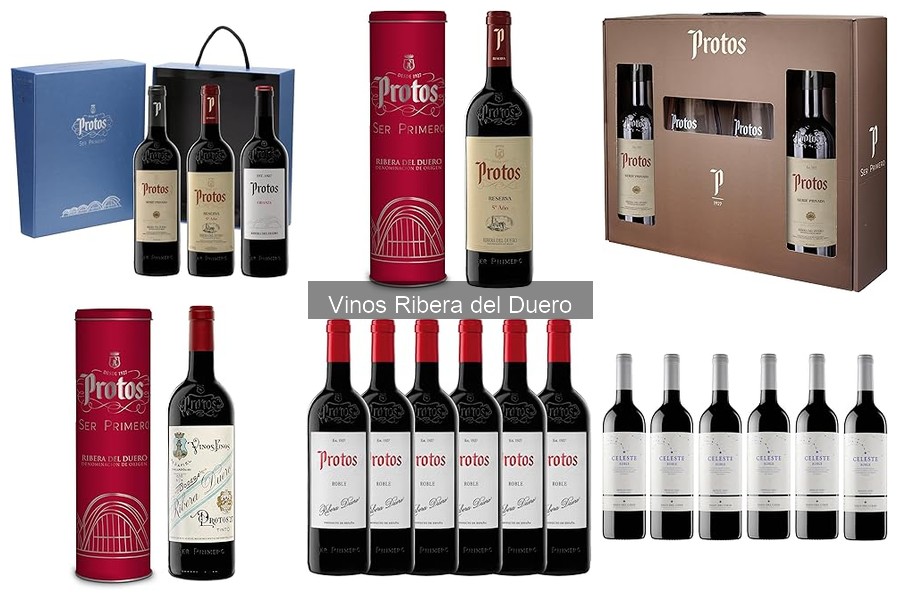 Cómo Leer Etiquetas de Vino Ribera del Duero Fácilmente