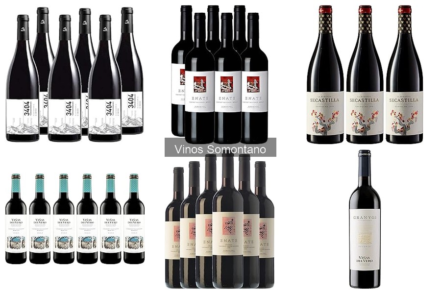Cómo leer la etiqueta de un vino Somontano: Guía sencilla