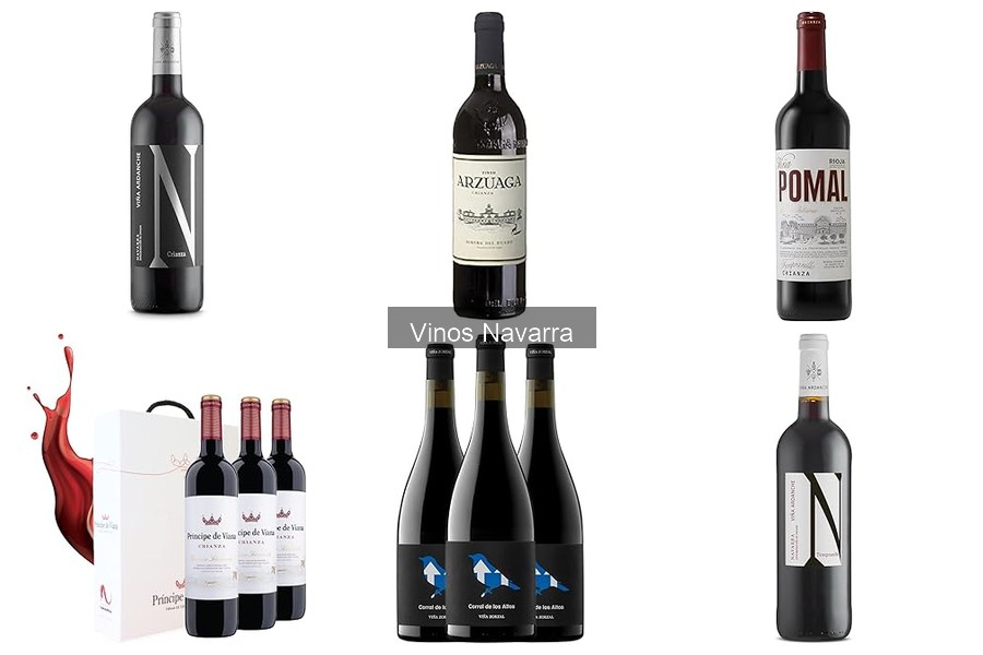 Cómo prepararte para una cata de vinos de Navarra