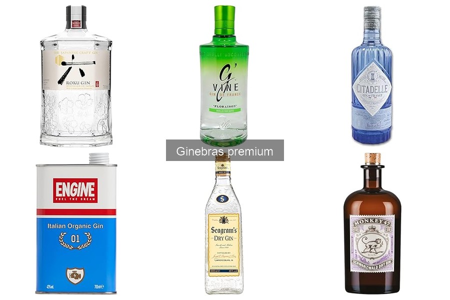 Cómo Servir Ginebra Premium: Consejos Esenciales
