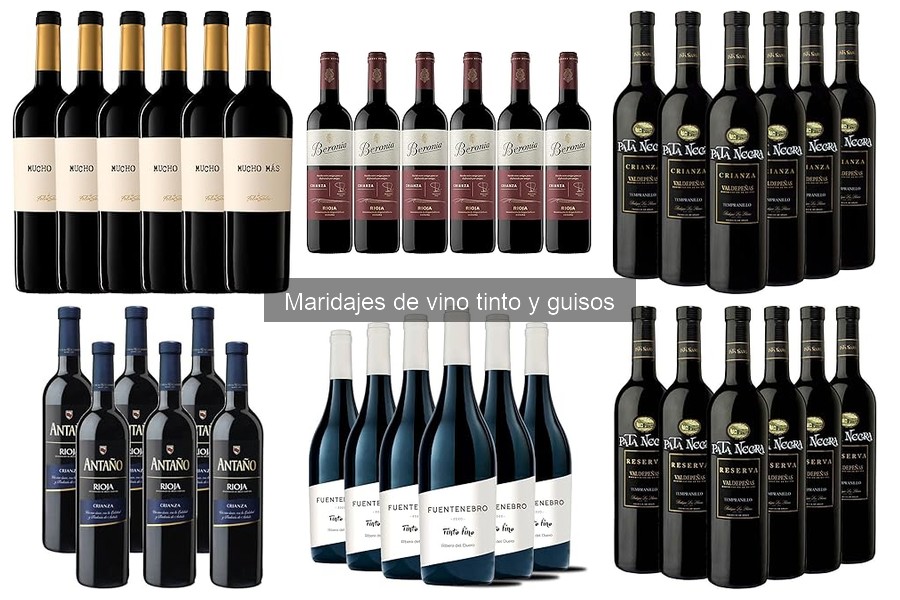 Cómo Servir Vino Tinto con Guisos: Mejores Prácticas