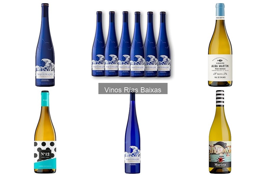 Cómo servir vinos Rías Baixas: consejos imprescindibles