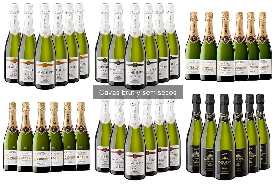 Cómo Servir y Disfrutar Cava Brut y Semiseco Perfectamente