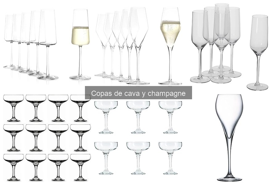 Comparativa de las Mejores Marcas de Copas de Cava y Champagne