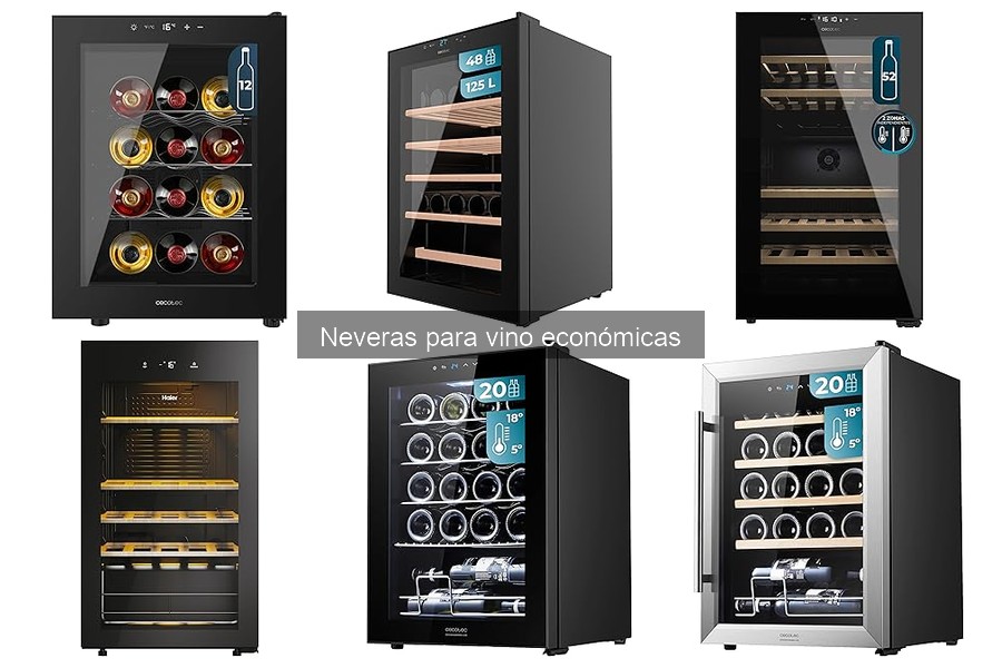 Comparativa de neveras para vino económicas: Mejores marcas