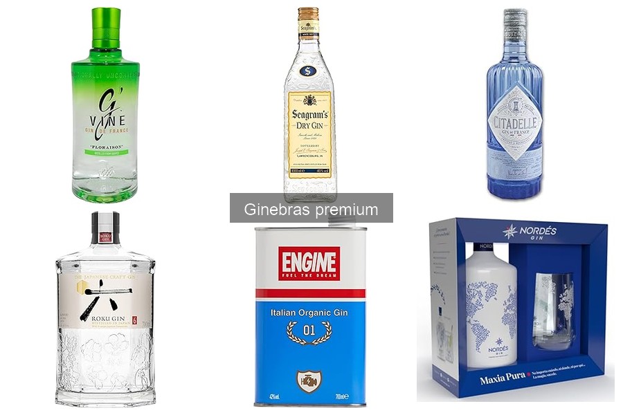 Comparativa de Precios de Ginebras Premium en 2023