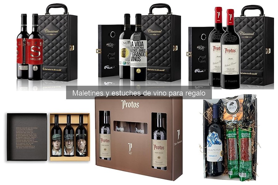 Comparativa de precios de maletines y estuches de vino