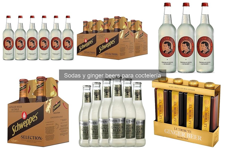 Comparativa de Sodas vs Ginger Beers en Coctelería