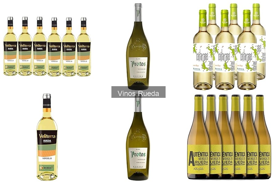 Comparativa de Vinos de Rueda vs Otras DO: Sabores y Precios
