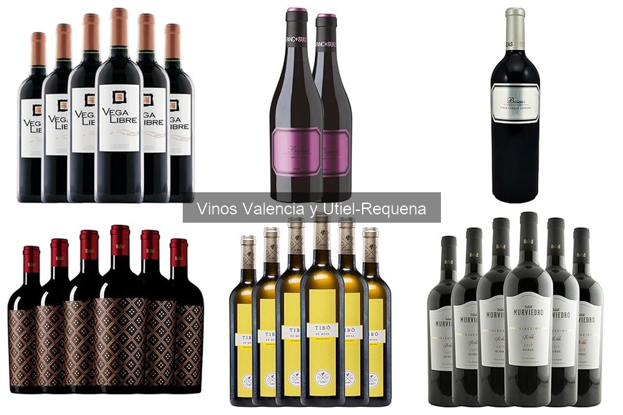 Comparativa de Vinos de Utiel y Requena: Calidad y Precio