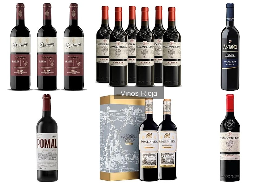 Comparativa de Vinos Rioja: Mejores Productores y Precios