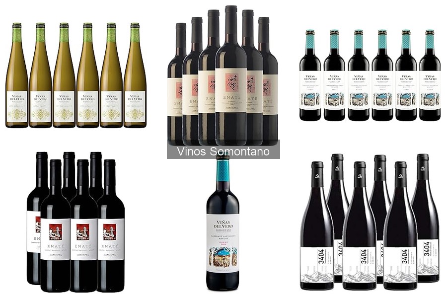 Comparativa de Vinos Somontano: Mejores Etiquetas y Precios