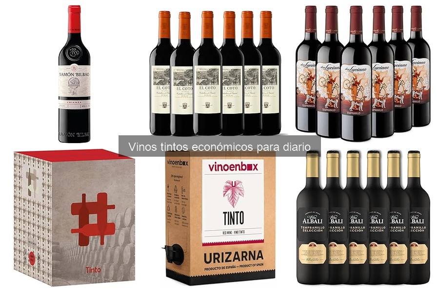 Comparativa de vinos tintos económicos bajo 10 euros