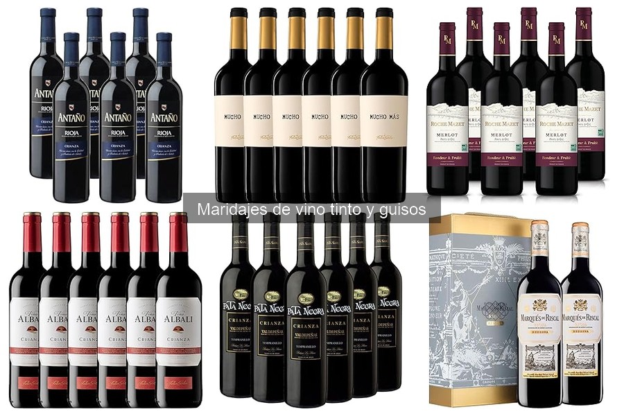Comparativa de Vinos Tintos para Guisos de Carne