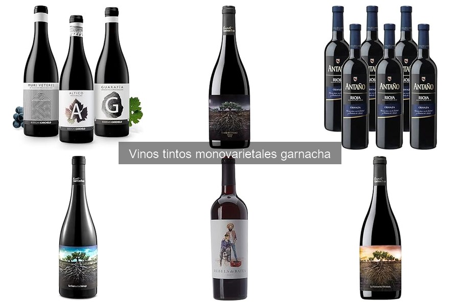 Comparativa: Garnacha vs. Merlot y Cabernet