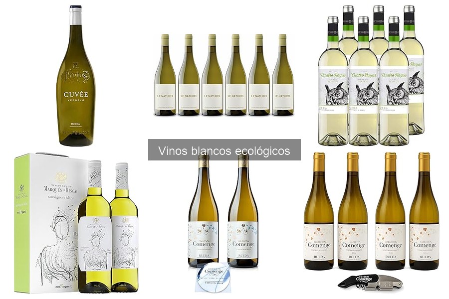 Comparativa: Vinos Blancos Ecológicos vs. Convencionales