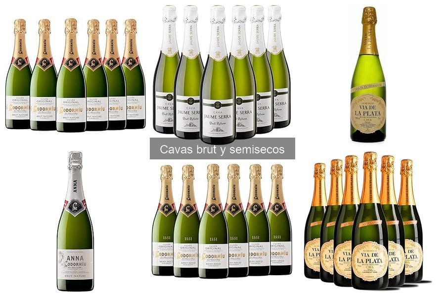 Compra Cavas Brut y Semisecos Online: Mejores Plataformas y Ofertas