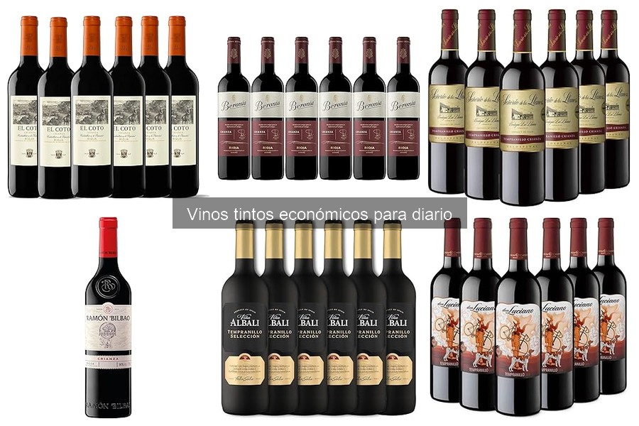 Compra vinos tintos económicos en línea: Guía y precios