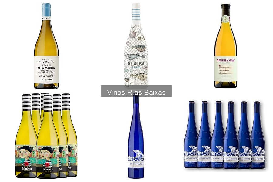 Conoce los Vinos Rías Baixas: Características y Variedades